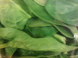 spinach leaves Article