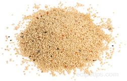 Where to Buy Grains Article