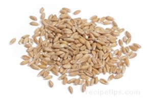 Composition of Grain