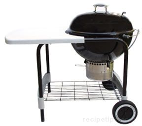 types of grills Article