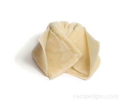 how to wrap a wonton Article
