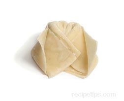 How to Wrap a Wonton