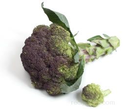 Broccoli Article