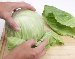 Cabbage Article