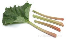 Rhubarb Article