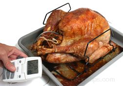 turkey probe temperature