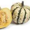 All About Winter Squash