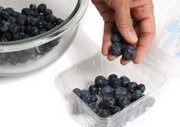 All About Blueberries