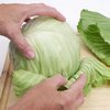 All About Cabbage