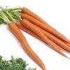 All About Carrots