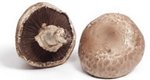 Avoid Using Water When Cleaning Mushrooms