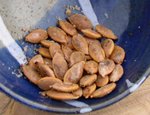 Roast Pumpkin Seeds in the Microwave