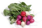 Strong Radishes