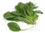 Storing Fresh Greens