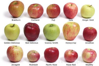 All About Apples