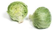 All About Lettuce Article