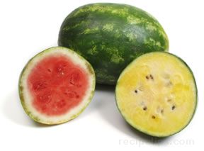 all about watermelon Article