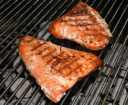 grilling salmon Article